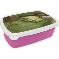 MuchoWow Broodtrommel Roze - Lunchbox - Brooddoos - Kikker - Reptielen - Jungle - 18x12x6 cm - Kinderen - Meisje