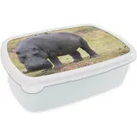 MuchoWow Broodtrommel Wit - Lunchbox - Brooddoos - Nijlpaard - Gras - 18x12x6 cm - Volwassenen