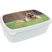 MuchoWow Broodtrommel Wit - Lunchbox - Brooddoos - Duitse Herdershond met een tennisbal in de mond - 18x12x6 cm - Volwassenen