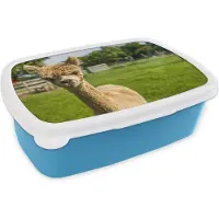 MuchoWow Broodtrommel Blauw - Lunchbox - Brooddoos - Baby - Alpaca - Gras - 18x12x6 cm - Kinderen - Jongen