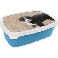 MuchoWow Broodtrommel Blauw - Lunchbox - Brooddoos - Berner Sennenhond puppy in de ochtend - 18x12x6 cm - Kinderen - Jongen