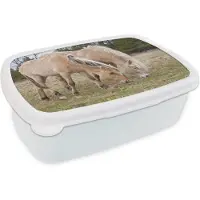 MuchoWow Broodtrommel Wit - Lunchbox - Brooddoos - Twee grazende fjord paarden in een grasveld - 18x12x6 cm - Volwassenen
