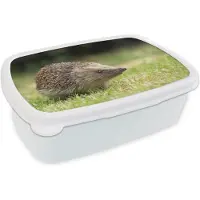 MuchoWow Broodtrommel Wit - Lunchbox - Brooddoos - Egel in de tuin - 18x12x6 cm - Volwassenen