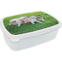 MuchoWow Broodtrommel Wit - Lunchbox Kittens - Kat - Mand - Meisjes - Kinderen - Jongens - Kids - Brooddoos 18x12x6 cm - Brood lunch box - Broodtrommels voor kinderen en volwassenen