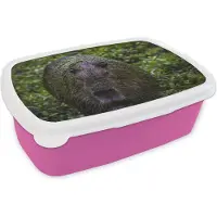 MuchoWow Broodtrommel Roze - Lunchbox - Brooddoos - Vieze capibara - 18x12x6 cm - Kinderen - Meisje