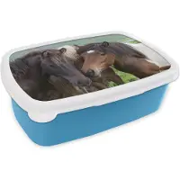 MuchoWow Broodtrommel Blauw - Lunchbox - Brooddoos - Paarden - Dieren - Bruin - 18x12x6 cm - Kinderen - Jongen
