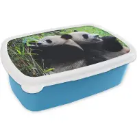 MuchoWow Broodtrommel Blauw - Lunchbox - Brooddoos - Panda - Bamboe - Natuur - 18x12x6 cm - Kinderen - Jongen