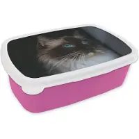 MuchoWow Broodtrommel Roze - Lunchbox - Brooddoos - Ragdoll kat met mooie blauwe ogen - 18x12x6 cm - Kinderen - Meisje