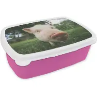 MuchoWow Broodtrommel Roze - Lunchbox - Brooddoos - Varken - Close up - Gras - 18x12x6 cm - Kinderen - Meisje