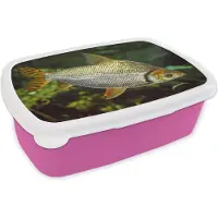 MuchoWow Broodtrommel Roze - Lunchbox - Brooddoos - Vis - Water - Plant - 18x12x6 cm - Kinderen - Meisje