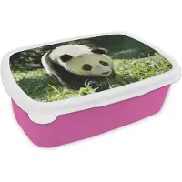 MuchoWow Broodtrommel Roze - Lunchbox - Brooddoos - Panda - Gras - Dier - 18x12x6 cm - Kinderen - Meisje