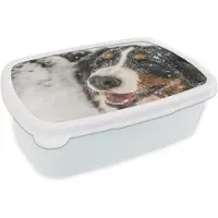 MuchoWow Broodtrommel Wit - Lunchbox - Brooddoos - Een Berner Sennenhond onder het sneeuw - 18x12x6 cm - Volwassenen