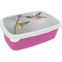MuchoWow Broodtrommel Roze - Lunchbox - Brooddoos - Kolibrie - Vogels - Plant - 18x12x6 cm - Kinderen - Meisje