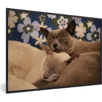 MuchoWow Fotolijst incl. Poster - Twee knuffelende Burmese katten - 60x40 cm - Posterlijst