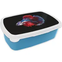 MuchoWow Broodtrommel Blauw - Lunchbox - Brooddoos - Vis - Staart - Zwart - 18x12x6 cm - Kinderen - Jongen