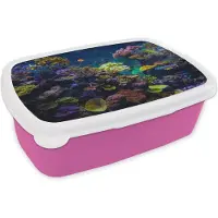 MuchoWow Broodtrommel Roze - Lunchbox - Brooddoos - Koraal - Kleuren - Vis - 18x12x6 cm - Kinderen - Meisje