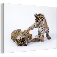 MuchoWow Wanddecoratie Metaal - Aluminium Schilderij Industrieel - Tijger - Welp - Wit - 180x120 cm - Dibond - Foto op aluminium - Industriële muurdecoratie - Voor de woonkamer/slaapkamer