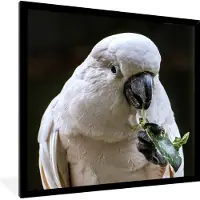 PosterMonkey Fotolijst incl. Poster - Een etende kaketoe - 40x40 cm - Posterlijst