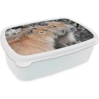 MuchoWow Broodtrommel Wit - Lunchbox - Brooddoos - Drie capibaras die op een rij rusten - 18x12x6 cm - Volwassenen