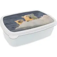 MuchoWow Broodtrommel Wit - Lunchbox - Brooddoos - IJsbeer - Baby - IJsberg - 18x12x6 cm - Volwassenen