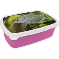 MuchoWow Broodtrommel Roze - Lunchbox - Brooddoos - Vis - Groen - Vis - 18x12x6 cm - Kinderen - Meisje