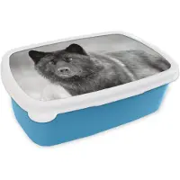 MuchoWow Broodtrommel Blauw - Lunchbox - Brooddoos - Wolf - Close up - Zwart - Wit - 18x12x6 cm - Kinderen - Jongen