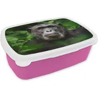 MuchoWow Broodtrommel Roze - Lunchbox - Brooddoos - Aap - Bladeren - Portret - 18x12x6 cm - Kinderen - Meisje