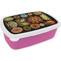 MuchoWow Broodtrommel Roze - Lunchbox - Brooddoos - Vintage - Ernst Haeckel - Zeedier - Natuur - Zee - Kunst - 18x12x6 cm - Kinderen - Meisje