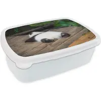 MuchoWow Broodtrommel Wit - Lunchbox - Brooddoos - Dier - Panda - Slapen - 18x12x6 cm - Volwassenen
