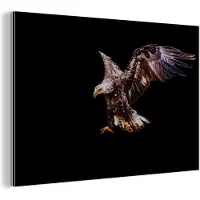 MuchoWow Wanddecoratie Metaal - Aluminium Schilderij Industrieel - Adelaar - Arend - Nacht - Vogels - 90x60 cm - Dibond - Foto op aluminium - Industriële muurdecoratie - Voor de woonkamer/slaapkamer