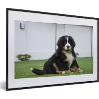 MuchoWow Fotolijst incl. Poster - Super schattige Berner Sennenhond puppy - 60x40 cm - Posterlijst