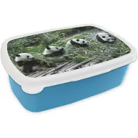 MuchoWow Broodtrommel Blauw - Lunchbox - Brooddoos - Panda - Natuur - Bamboe - 18x12x6 cm - Kinderen - Jongen