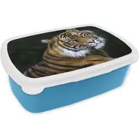 MuchoWow Broodtrommel Blauw - Lunchbox - Brooddoos - Tijger - Portret - Zwart - 18x12x6 cm - Kinderen - Jongen