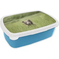 MuchoWow Broodtrommel Blauw - Lunchbox - Brooddoos - Beer - Grizzly - Gras - Welp - 18x12x6 cm - Kinderen - Jongen