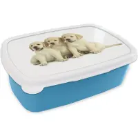 MuchoWow Broodtrommel Blauw - Lunchbox - Brooddoos - Drie labrador puppy's - 18x12x6 cm - Kinderen - Jongen