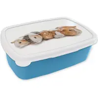 MuchoWow Broodtrommel Blauw - Lunchbox - Brooddoos - Vijf cavia's - 18x12x6 cm - Kinderen - Jongen