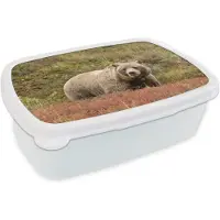 MuchoWow Broodtrommel Wit - Lunchbox - Brooddoos - Beer - Heide - Grizzly - 18x12x6 cm - Volwassenen