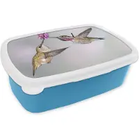 MuchoWow Broodtrommel Blauw - Lunchbox - Brooddoos - Kolibrie - Bloem - Roze - 18x12x6 cm - Kinderen - Jongen