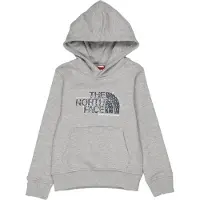 The North Face Kids Drew Peak Overhead Hoodie in Grijs