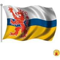 Partyxplosion Vlag Limburg 90x150cm (blauw, geel, wit en rood)