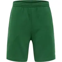 Lacoste Short Heren Groen XL
