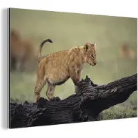 MuchoWow Wanddecoratie Metaal - Aluminium Schilderij Industrieel - Leeuw - Boomstam - Welp - 30x20 cm - Dibond - Foto op aluminium - Industriële muurdecoratie - Voor de woonkamer/slaapkamer