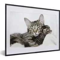 PosterMonkey Fotolijst incl. Poster - Twee knuffelende Amerikaanse Korthaar katten - 40x30 cm - Posterlijst