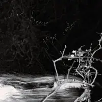 Konkurrent Liar, Flower - Geiger Counter (LP)