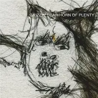 Konkurrent Grizzly Bear - Horn Of Plenty (LP) (Coloured Vinyl)