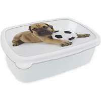 MuchoWow Broodtrommel Wit - Lunchbox - Brooddoos - Een bruine puppy met een voetbal - 18x12x6 cm - Volwassenen