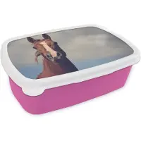 MuchoWow Broodtrommel Roze - Lunchbox - Brooddoos - Paard - Lucht - Blauw - 18x12x6 cm - Kinderen - Meisje