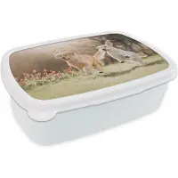 MuchoWow Broodtrommel Wit - Lunchbox - Brooddoos - Honden - Zon - Lente - 18x12x6 cm - Volwassenen