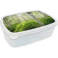 MuchoWow Broodtrommel Wit - Lunchbox - Brooddoos - Berk - Bos - Lente - 18x12x6 cm - Volwassenen