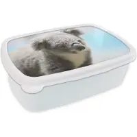 MuchoWow Broodtrommel Wit - Lunchbox - Brooddoos - Koala - Close up - Dier - Kinderen - Jongens - Meiden - 18x12x6 cm - Volwassenen